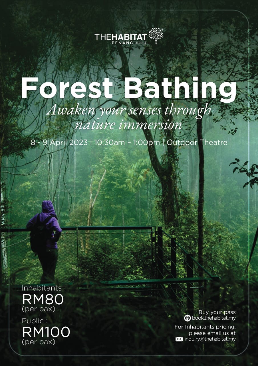 Forest Bathing by The Habitat